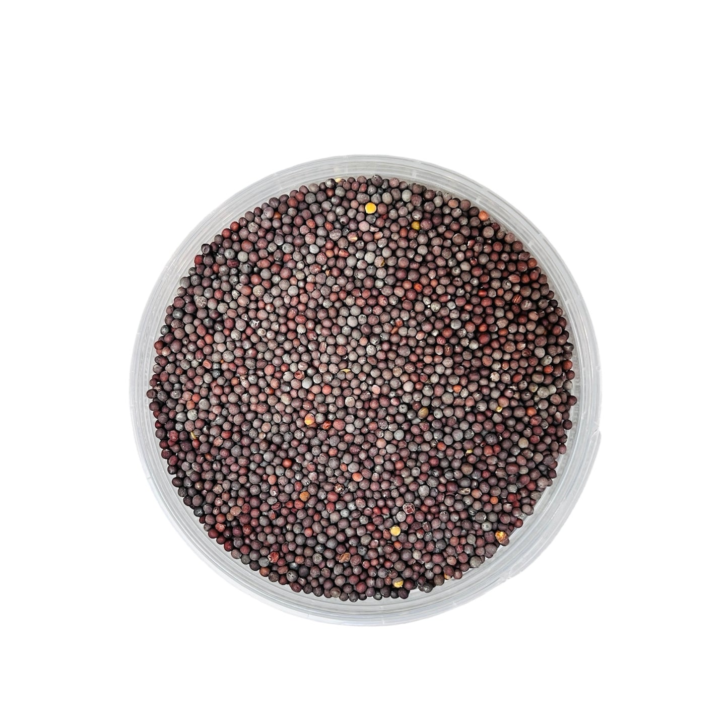 Schwarze Senfkörner بذور الخردل اسود