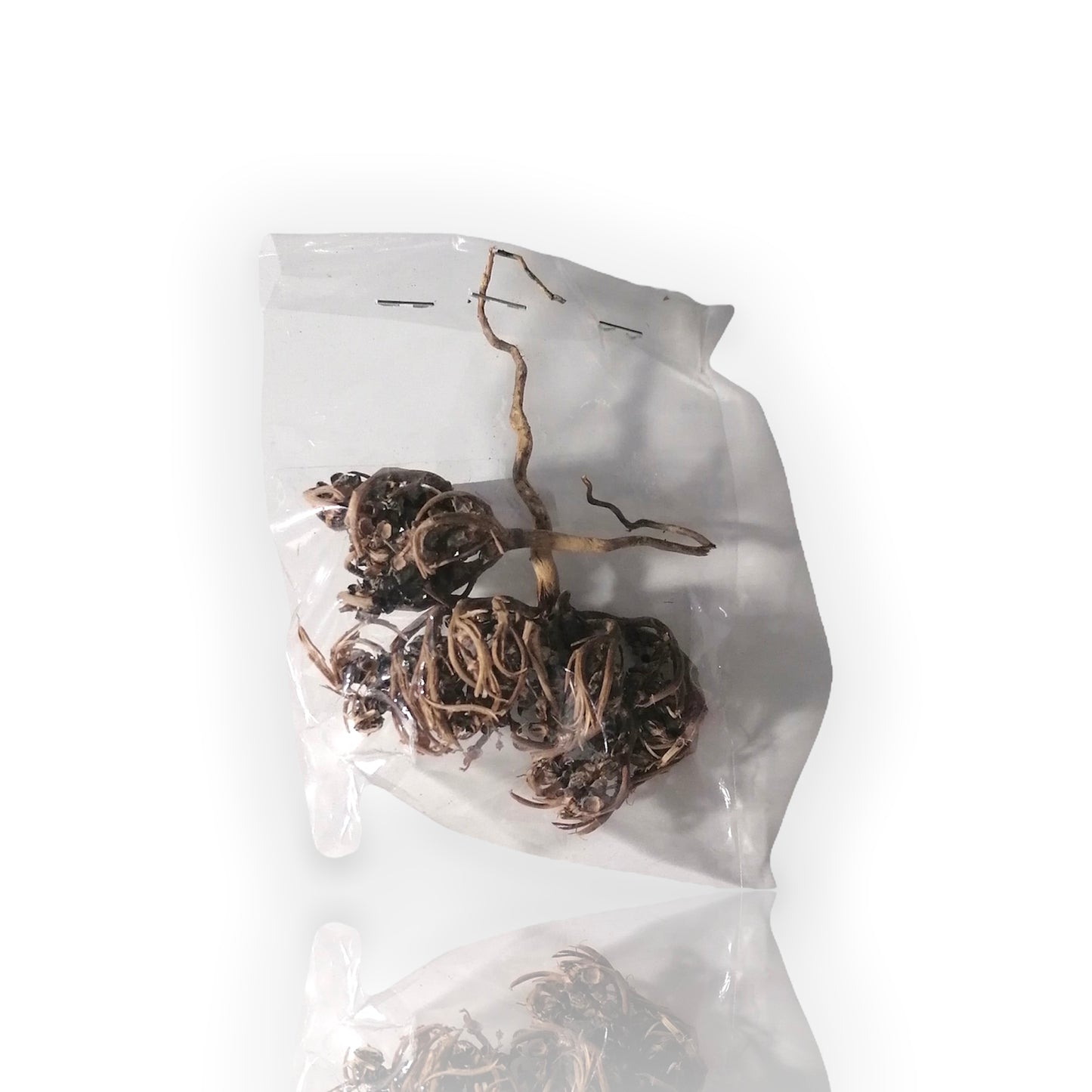 Dried chaste tree
كف مريم